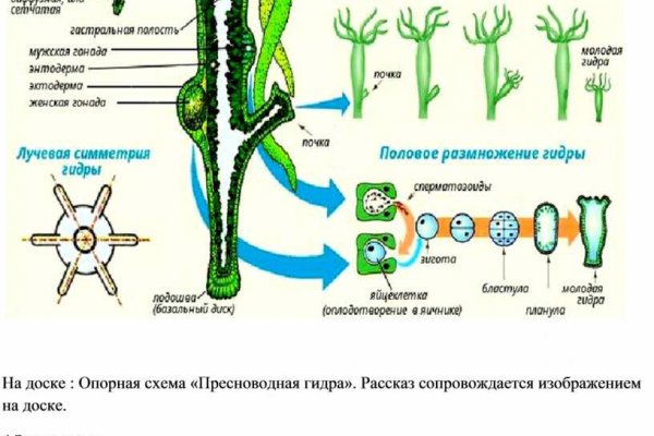 Мега омг ссылки